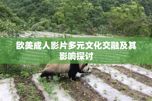 欧美成人影片多元文化交融及其影响探讨