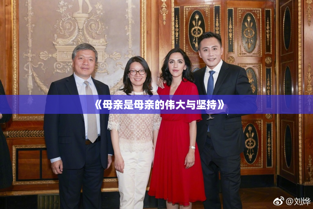 《母亲是母亲的伟大与坚持》