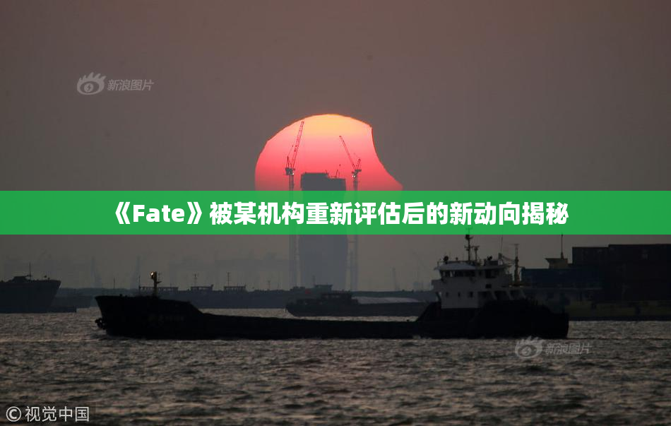 《Fate》被某机构重新评估后的新动向揭秘