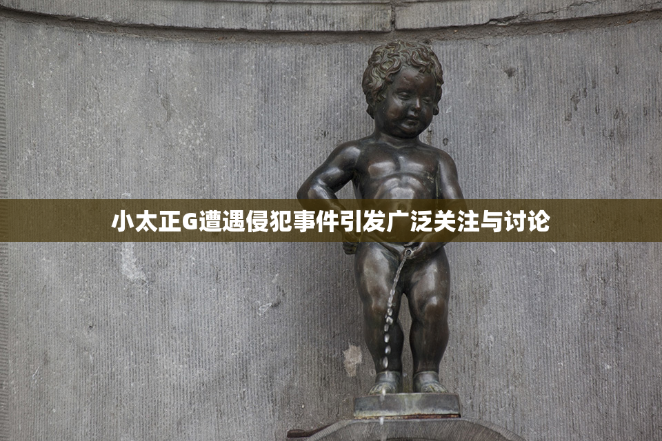 小太正G遭遇侵犯事件引发广泛关注与讨论