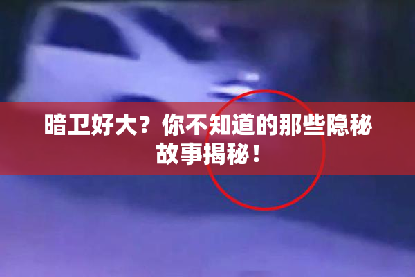 暗卫好大？你不知道的那些隐秘故事揭秘！