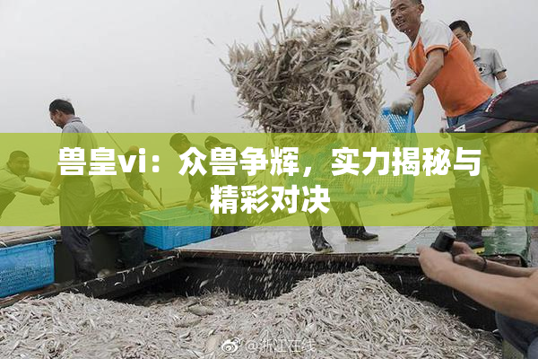 兽皇vi：众兽争辉，实力揭秘与精彩对决