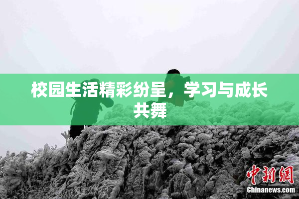 校园生活精彩纷呈，学习与成长共舞