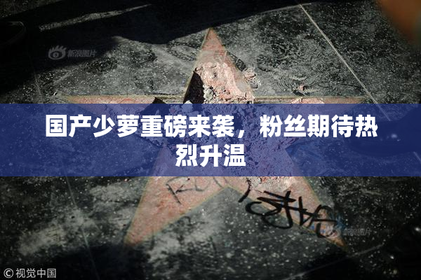 国产少萝重磅来袭，粉丝期待热烈升温
