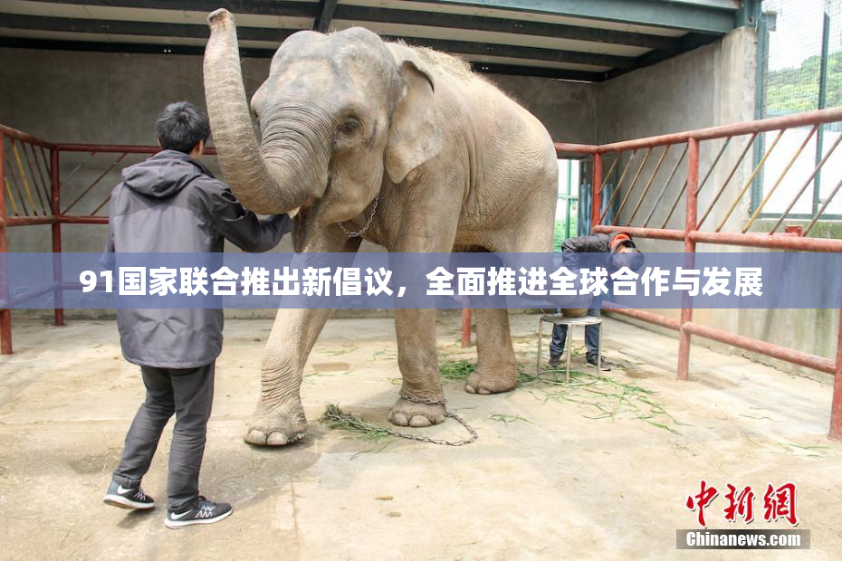 91国家联合推出新倡议，全面推进全球合作与发展