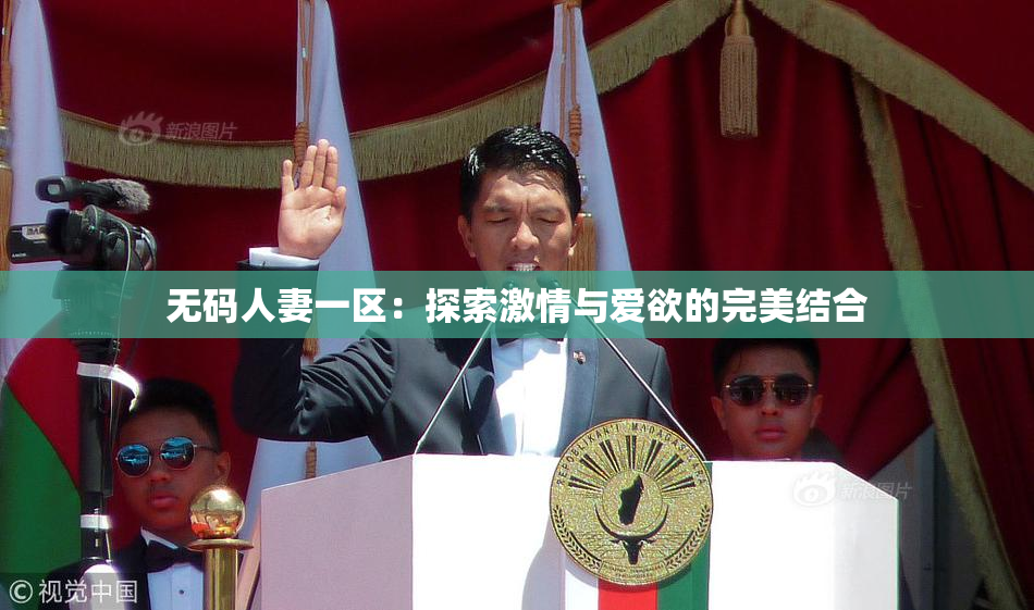 无码人妻一区：探索激情与爱欲的完美结合