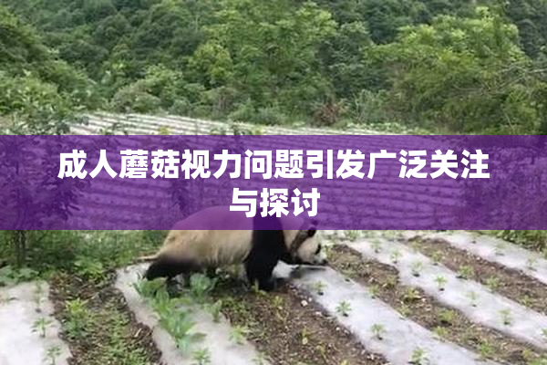 成人蘑菇视力问题引发广泛关注与探讨