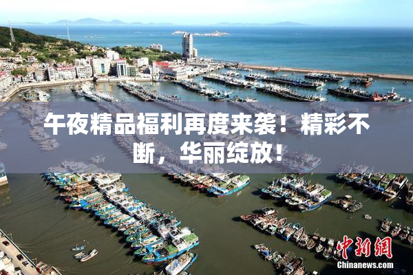 午夜精品福利再度来袭！精彩不断，华丽绽放！