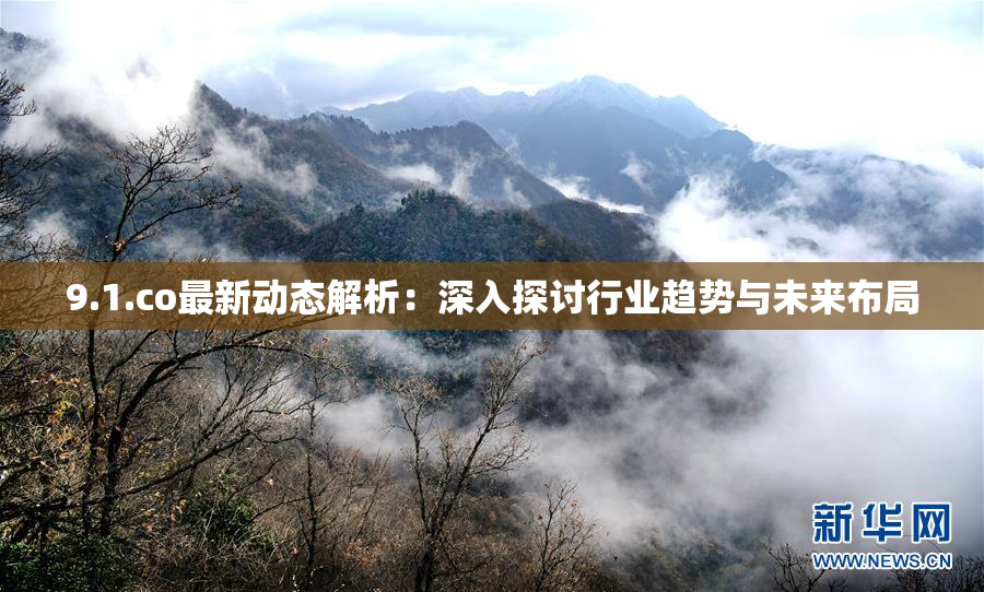 9.1.co最新动态解析：深入探讨行业趋势与未来布局