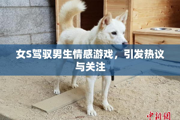 女S驾驭男生情感游戏，引发热议与关注