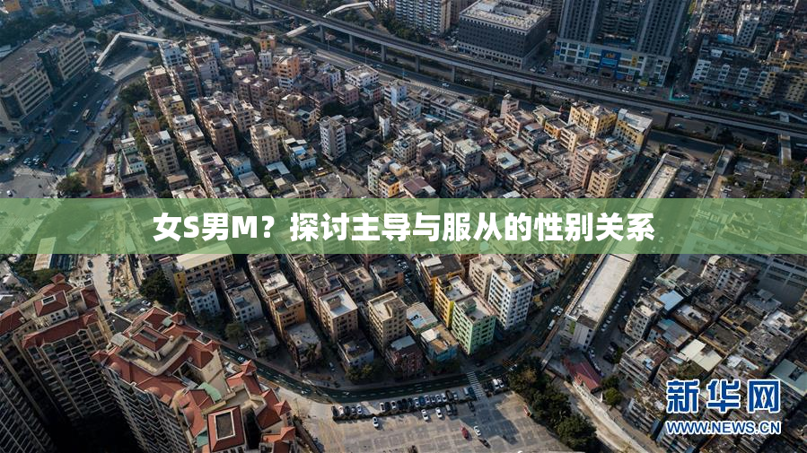 女S男M？探讨主导与服从的性别关系