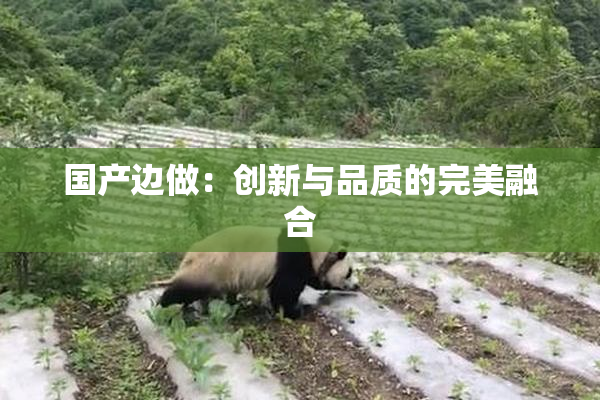 国产边做：创新与品质的完美融合
