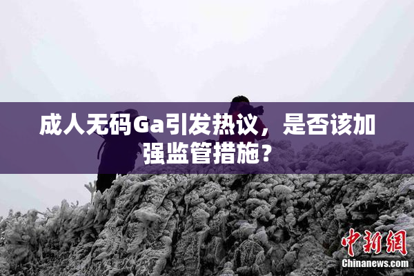 成人无码Ga引发热议，是否该加强监管措施？