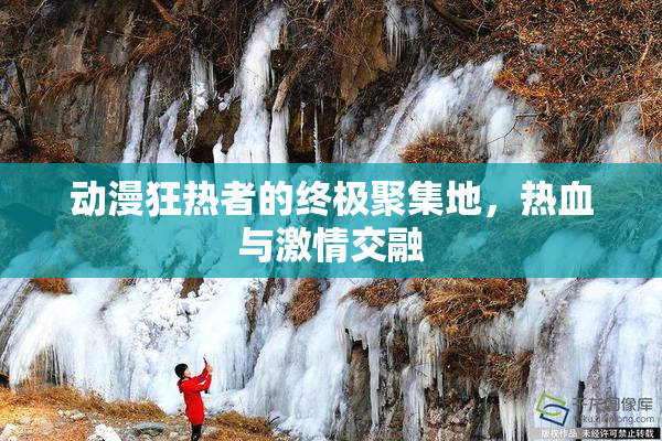 动漫狂热者的终极聚集地，热血与激情交融