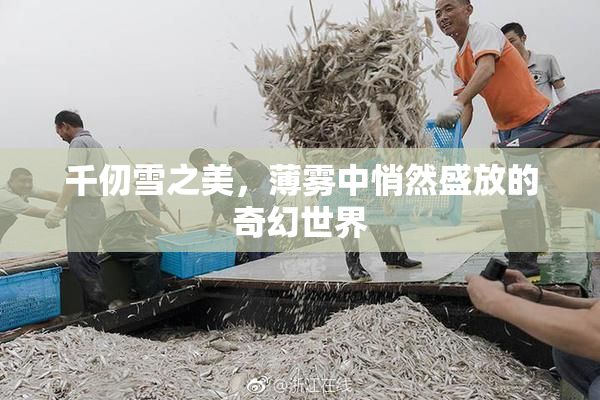 千仞雪之美，薄雾中悄然盛放的奇幻世界