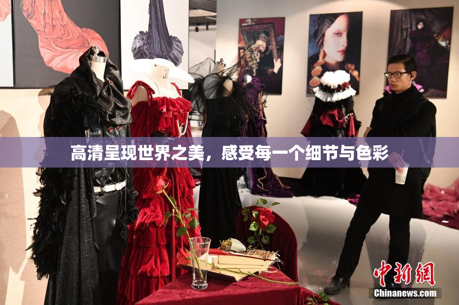 高清呈现世界之美，感受每一个细节与色彩