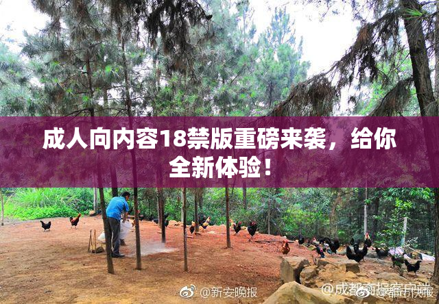 成人向内容18禁版重磅来袭，给你全新体验！