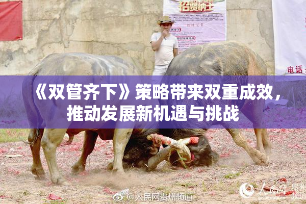 《双管齐下》策略带来双重成效，推动发展新机遇与挑战