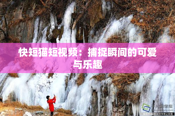 快短猫短视频：捕捉瞬间的可爱与乐趣