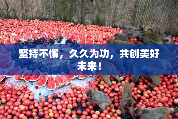 坚持不懈，久久为功，共创美好未来！