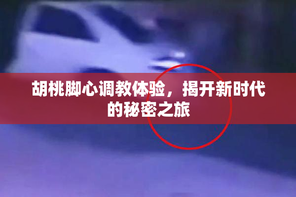 胡桃脚心调教体验，揭开新时代的秘密之旅