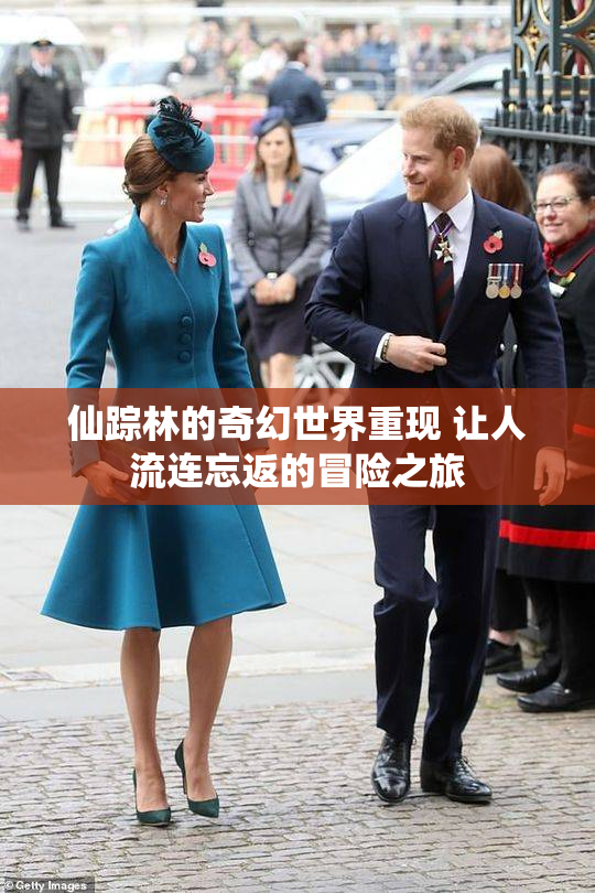 仙踪林的奇幻世界重现 让人流连忘返的冒险之旅