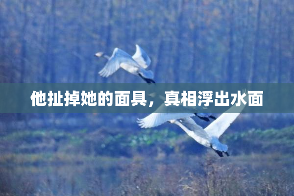 他扯掉她的面具，真相浮出水面