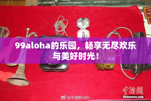 99aloha的乐园，畅享无尽欢乐与美好时光！