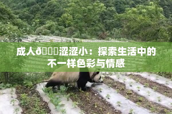 成人🔞涩涩小：探索生活中的不一样色彩与情感