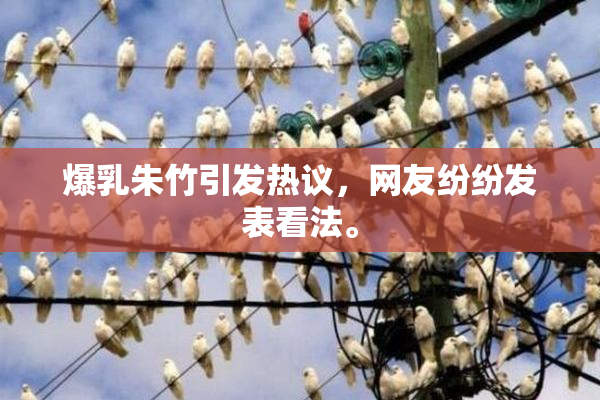 爆乳朱竹引发热议，网友纷纷发表看法。