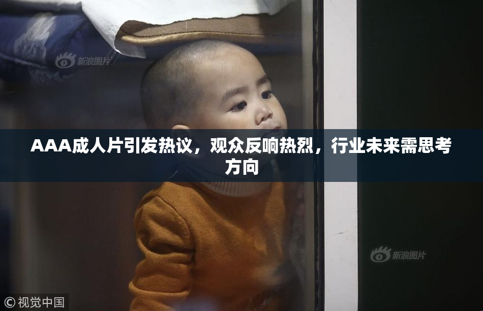 AAA成人片引发热议，观众反响热烈，行业未来需思考方向