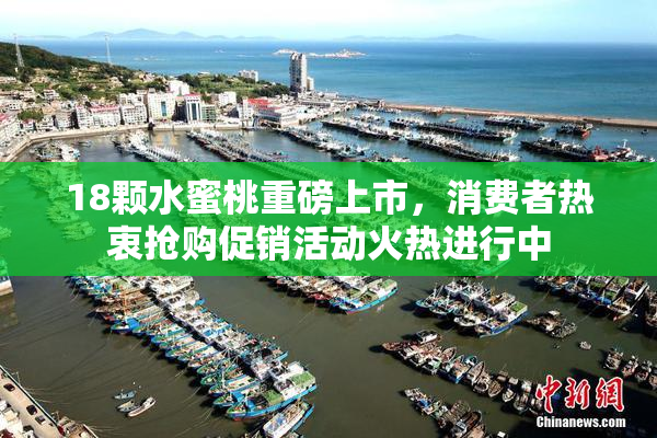 18颗水蜜桃重磅上市，消费者热衷抢购促销活动火热进行中