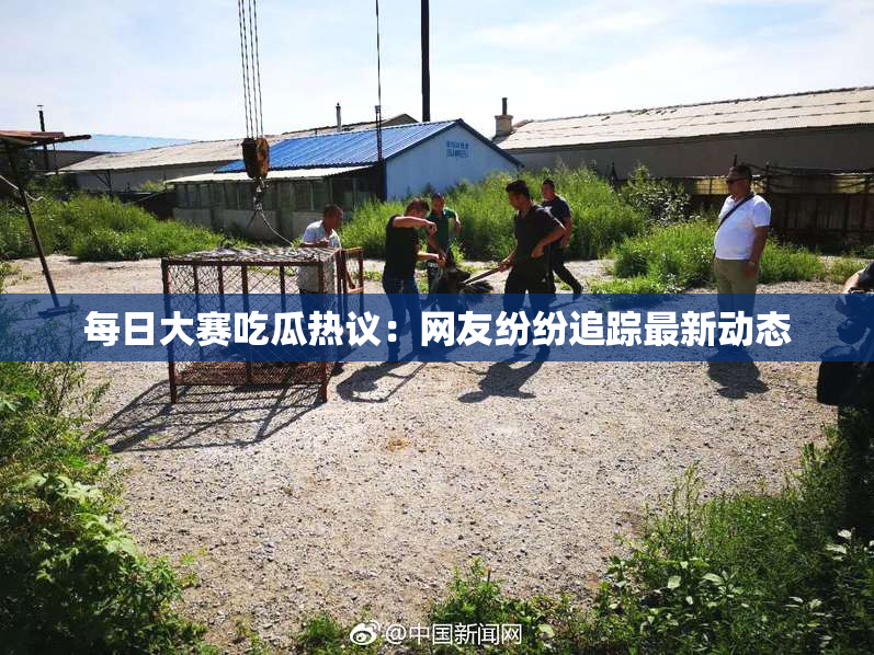 每日大赛吃瓜热议：网友纷纷追踪最新动态