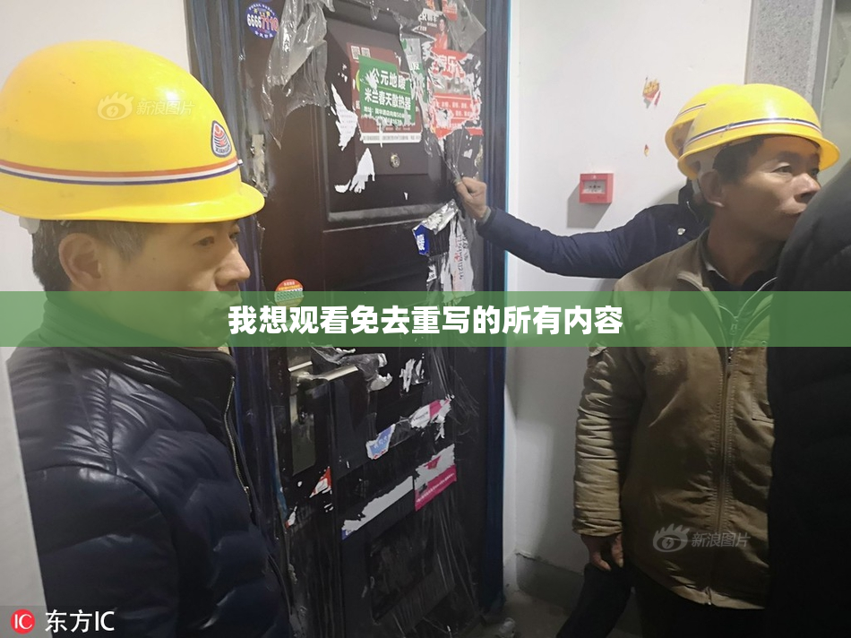 我想观看免去重写的所有内容
