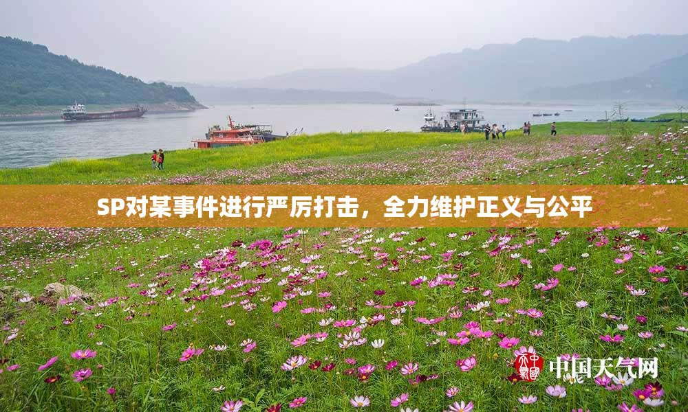 SP对某事件进行严厉打击，全力维护正义与公平
