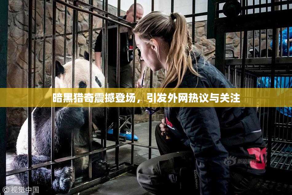 暗黑猎奇震撼登场，引发外网热议与关注