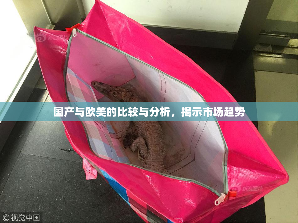 国产与欧美的比较与分析，揭示市场趋势