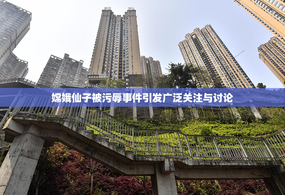 嫦娥仙子被污辱事件引发广泛关注与讨论
