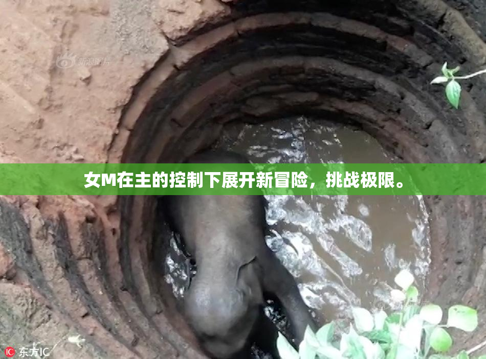 女M在主的控制下展开新冒险，挑战极限。