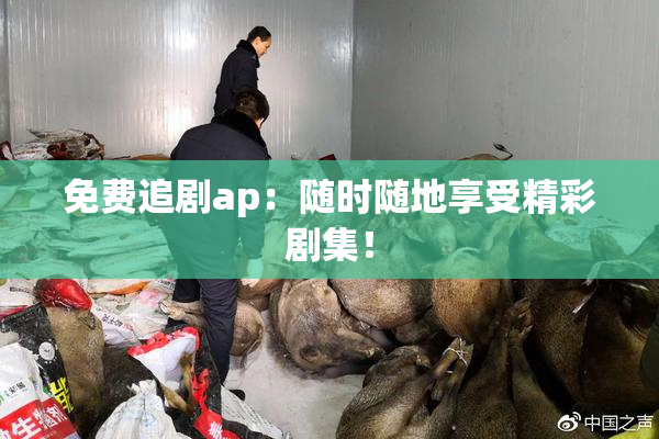免费追剧ap：随时随地享受精彩剧集！