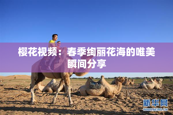 樱花视频：春季绚丽花海的唯美瞬间分享