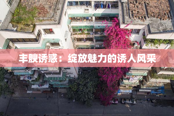 丰腴诱惑：绽放魅力的诱人风采