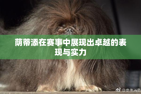 荫蒂添在赛事中展现出卓越的表现与实力