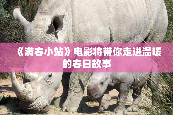 《满春小站》电影将带你走进温暖的春日故事