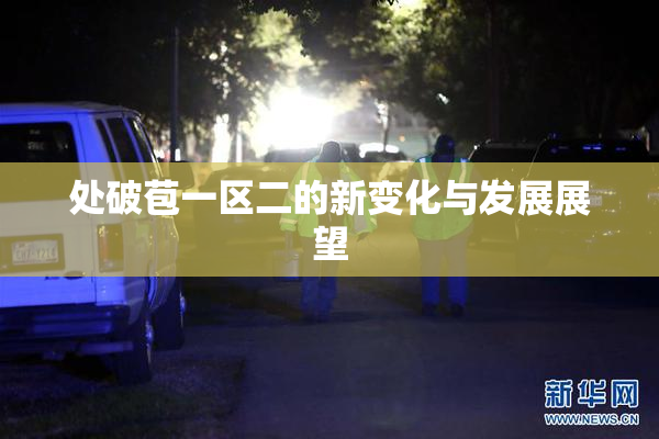 处破苞一区二的新变化与发展展望