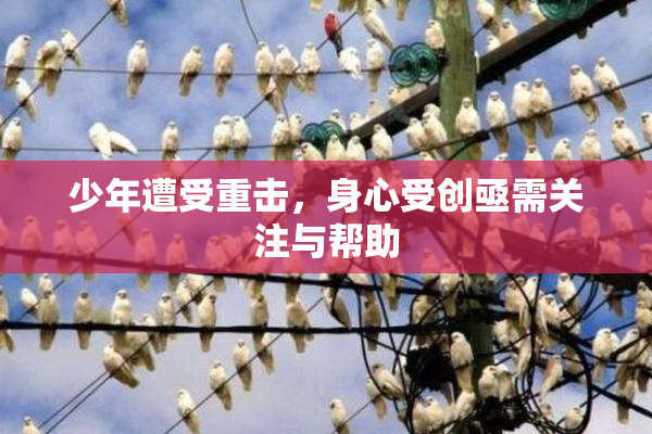 少年遭受重击，身心受创亟需关注与帮助