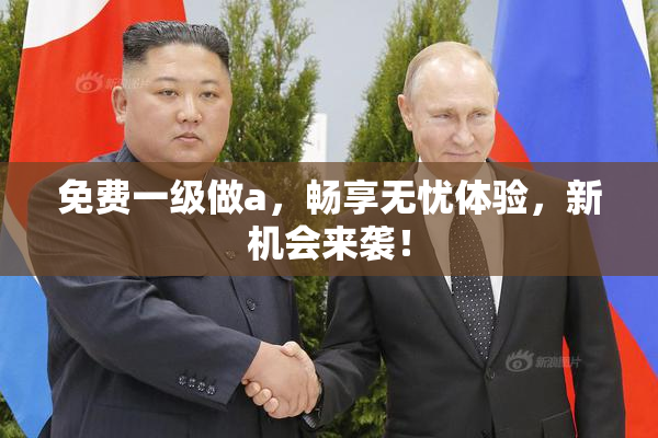 免费一级做a，畅享无忧体验，新机会来袭！