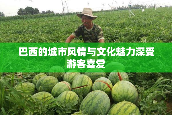 巴西的城市风情与文化魅力深受游客喜爱