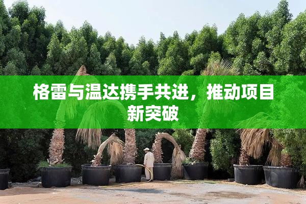 格雷与温达携手共进，推动项目新突破