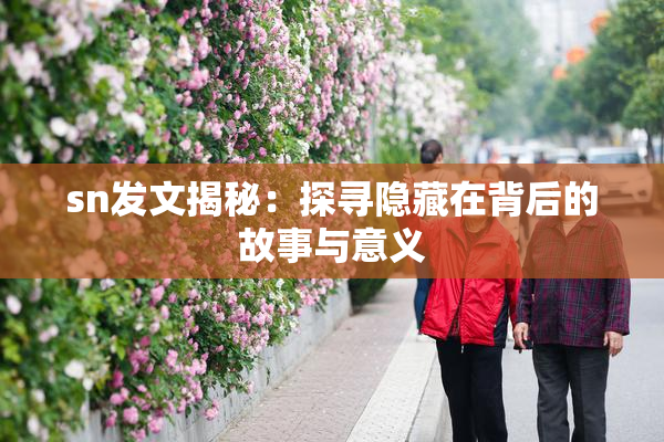 sn发文揭秘：探寻隐藏在背后的故事与意义